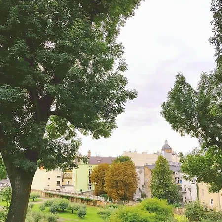 ホステル Shishkin Art